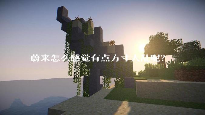 蔚来怎么感觉有点方寸大乱呢？