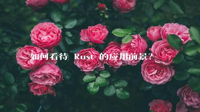 如何看待 Rust 的应用前景？
