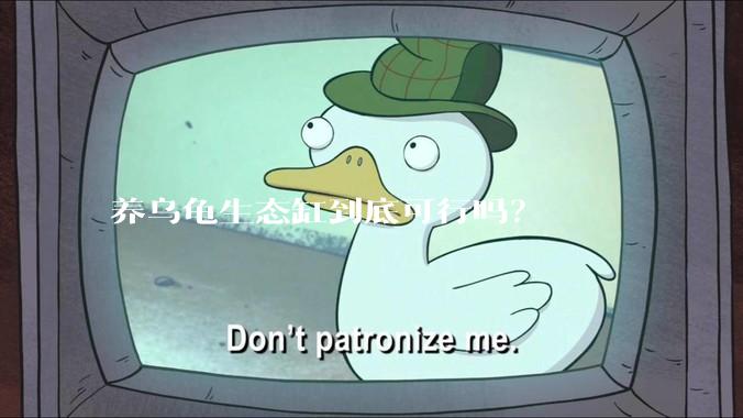 养乌龟生态缸到底可行吗？